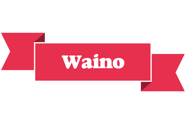 Waino sale logo