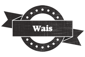 Wais grunge logo