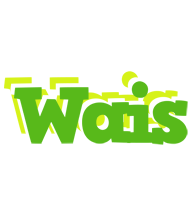 Wais picnic logo