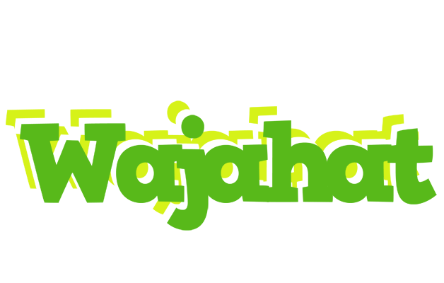 Wajahat picnic logo