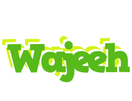 Wajeeh picnic logo