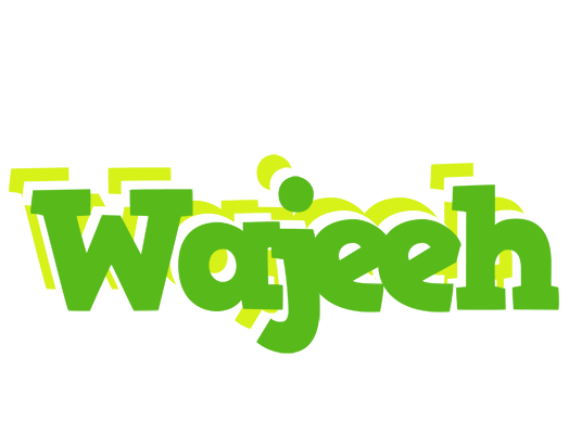 Wajeeh picnic logo