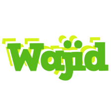 Wajid picnic logo