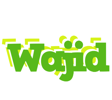 Wajid picnic logo