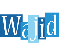 Wajid winter logo