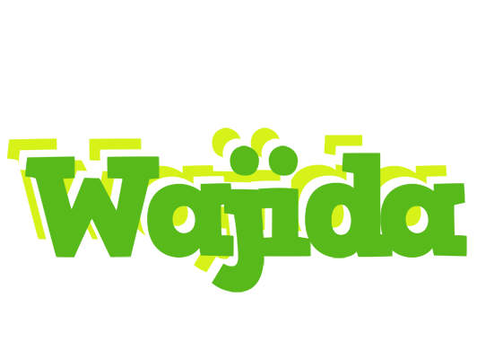 Wajida picnic logo