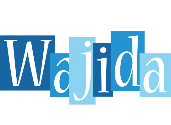 Wajida winter logo