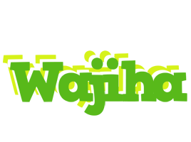 Wajiha picnic logo