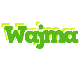 Wajma picnic logo