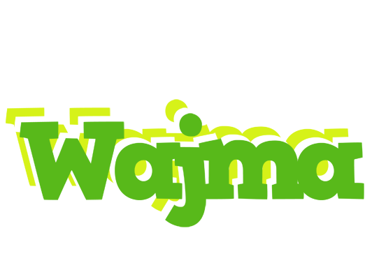 Wajma picnic logo
