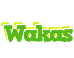 Wakas picnic logo