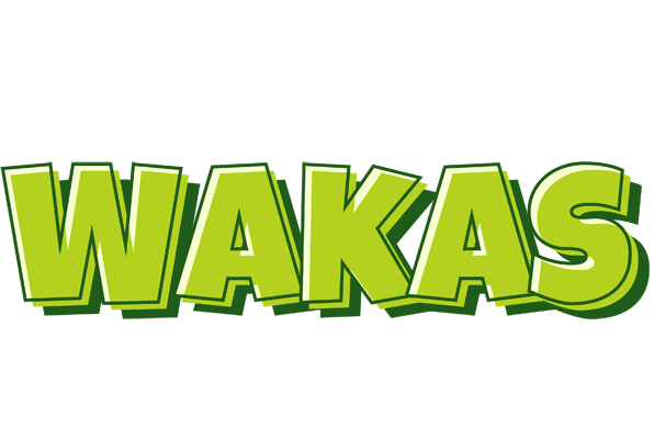 Wakas summer logo