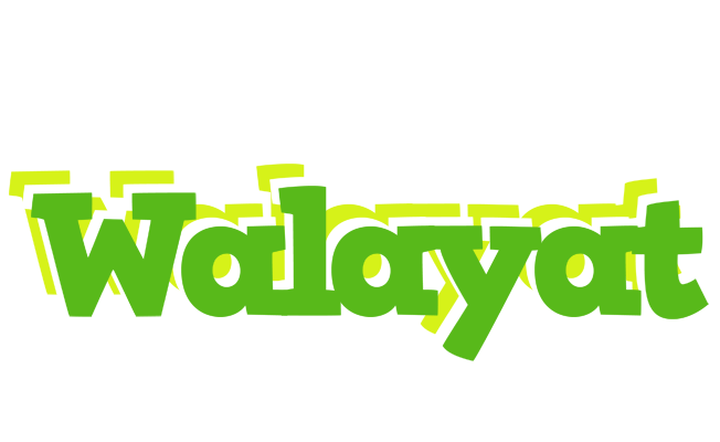 Walayat picnic logo