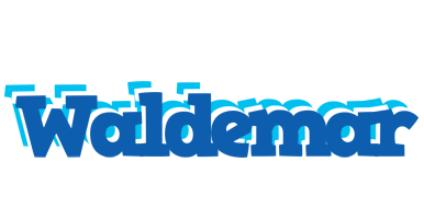 Waldemar business logo