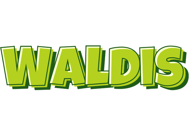 Waldis summer logo