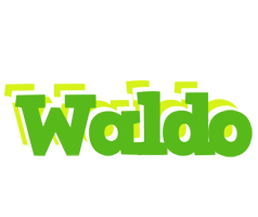 Waldo picnic logo