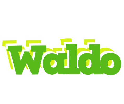 Waldo picnic logo