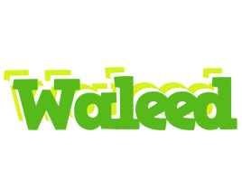 Waleed picnic logo
