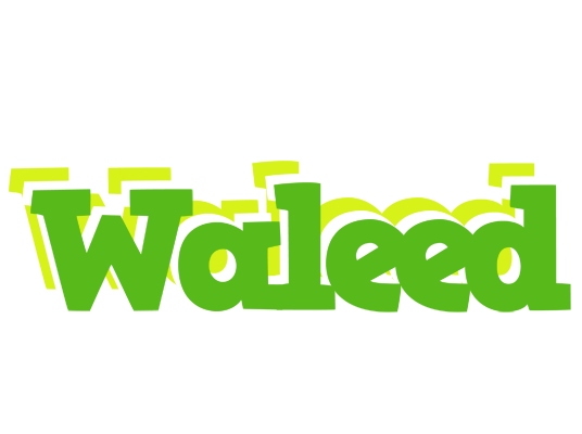 Waleed picnic logo