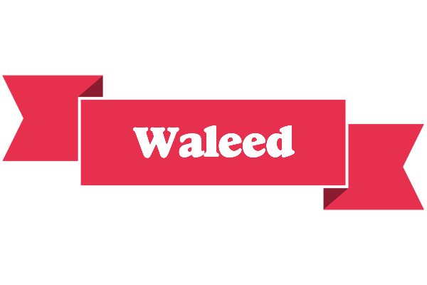 Waleed sale logo