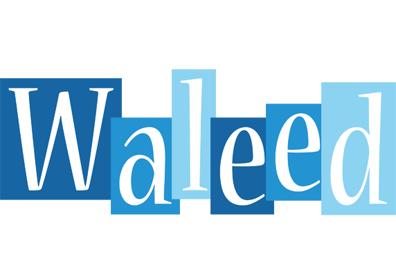 Waleed winter logo