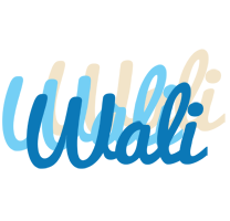 Wali breeze logo