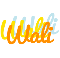 Wali energy logo