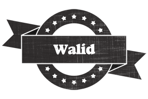 Walid grunge logo