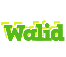 Walid picnic logo