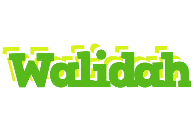 Walidah picnic logo