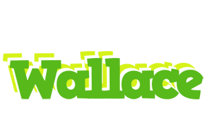 Wallace picnic logo