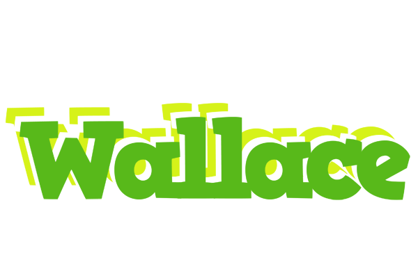 Wallace picnic logo