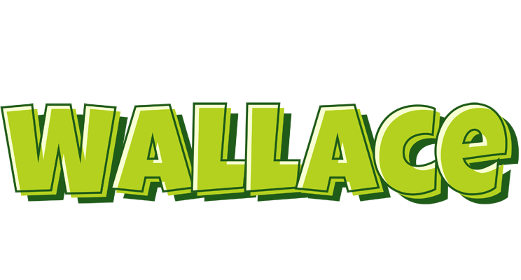 Wallace summer logo