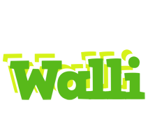 Walli picnic logo