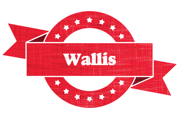 Wallis passion logo