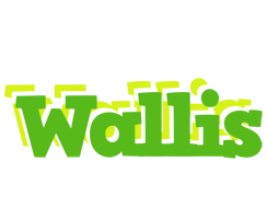 Wallis picnic logo