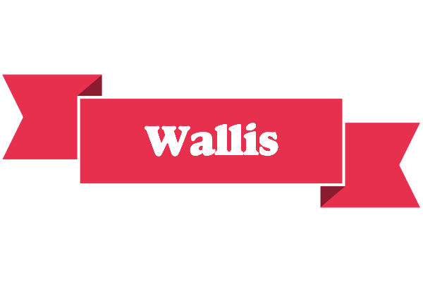 Wallis sale logo