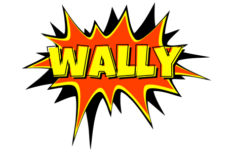 Wally bazinga logo