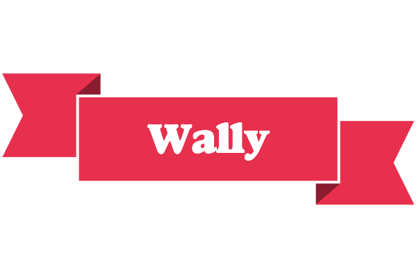 Wally sale logo