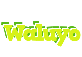 Waluyo citrus logo