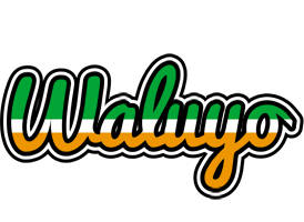 Waluyo ireland logo