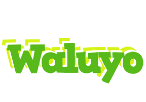 Waluyo picnic logo