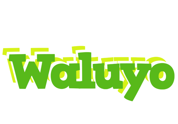 Waluyo picnic logo