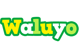 Waluyo soccer logo