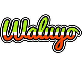 Waluyo superfun logo