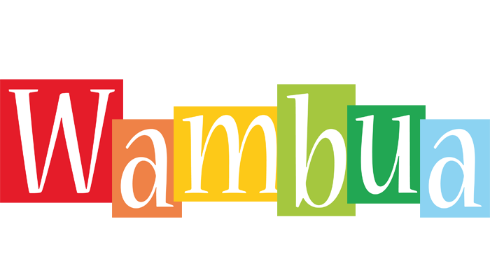 Wambua colors logo