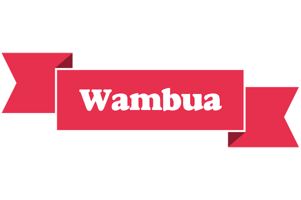 Wambua sale logo