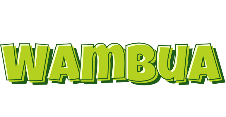 Wambua summer logo