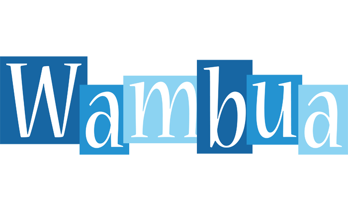 Wambua winter logo