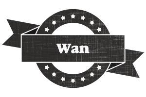 Wan grunge logo